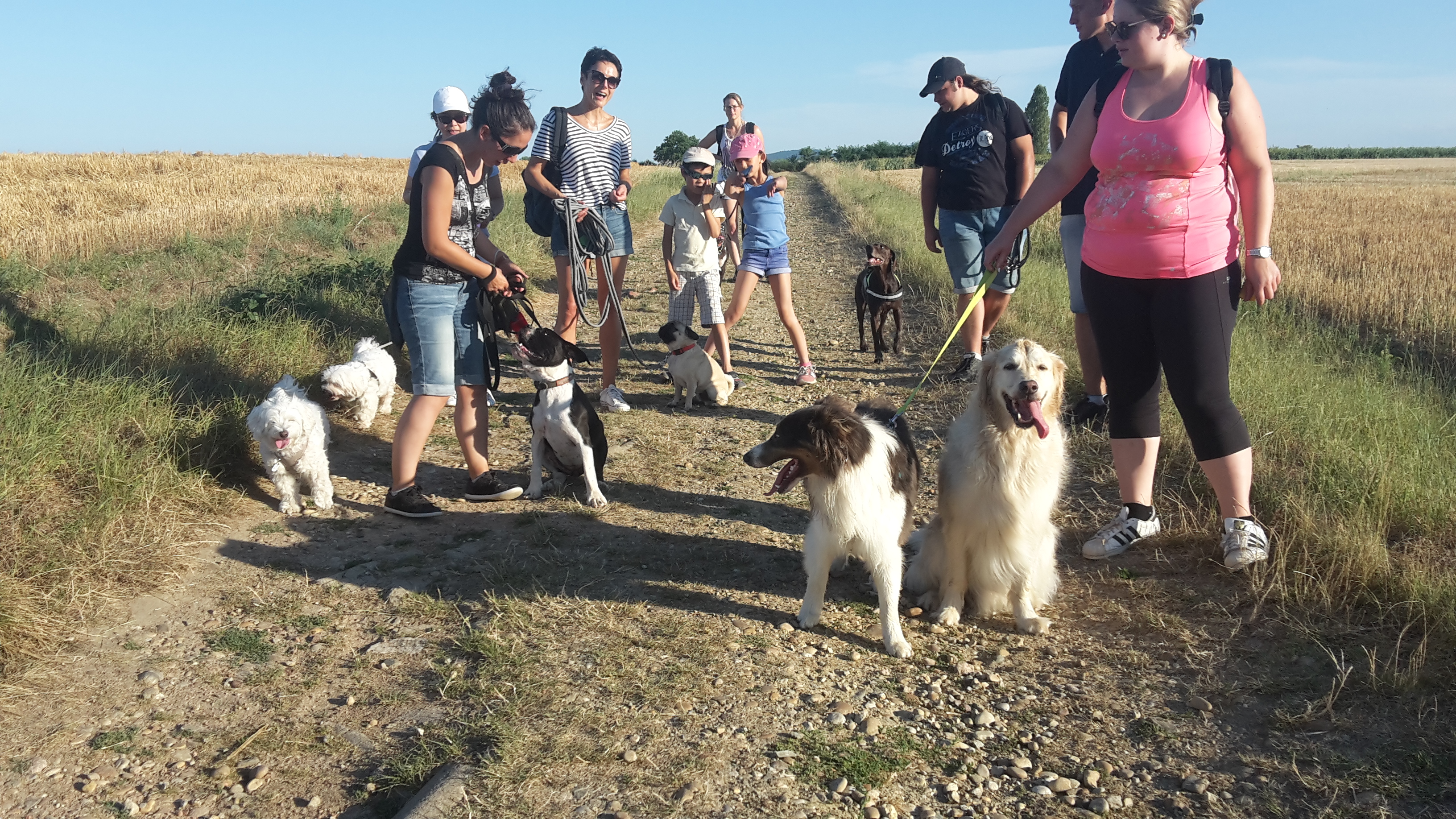 éducation et dressage de chiens Savoie